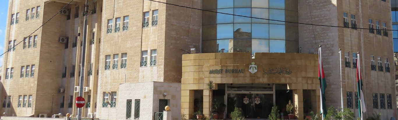 نشأة الديوان